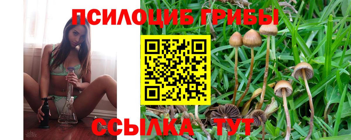 Владимир  Псилоцибиновые грибы прущие грибы  Вход с VPN 