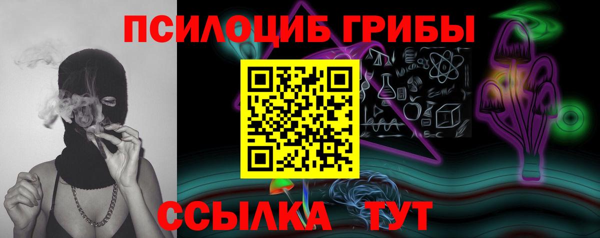 Псилоцибиновые грибы мухоморы Владимир
